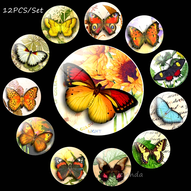 Butterfly Fridge Magnet Refrigerator Magnets Fridge Sticker Beautiful Flower Stickers Message Board Decor 12PCS/set Decoration
Butterfly Fridge Magnet Refrigerator Magnets Fridge Sticker Beautiful Flower Stickers Message Board Decor 12PCS/set Decoration