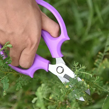 Flower Scissors Stainless Steel Kitchen Garden Pruning Scissors Tree Shears Gardening Scissors Branch Pruner Cutter Flower Shop
Flower Scissors Stainless Steel Kitchen Garden Pruning Scissors Tree Shears Gardening Scissors Branch Pruner Cutter Flower Shop