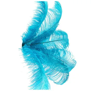 New 10 pcs Natural Ostrich Feathers Wedding Party Decoration Lake blue 20-25cm
New 10 pcs Natural Ostrich Feathers Wedding Party Decoration Lake blue 20-25cm