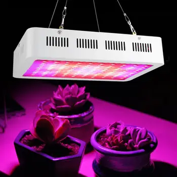 grow tent AC220-240V Full Spectrum 100 LED Plant Grow Light Hydroponics Vegs Flowering Panel Lamp Tent
grow tent AC220-240V Full Spectrum 100 LED Plant Grow Light Hydroponics Vegs Flowering Panel Lamp Tent