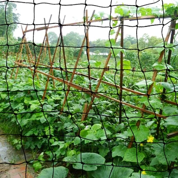 Gardening Pest Control Bird Net Polyethylene Anti Netting Pond Crops Fruit Tree Vegetables Protection Flower Garden Mesh Protect
Gardening Pest Control Bird Net Polyethylene Anti Netting Pond Crops Fruit Tree Vegetables Protection Flower Garden Mesh Protect