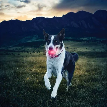 LED lighting bright play outdoor pet night dog Chew bite ball training colorful for toys Ball Toy toy chew 
LED lighting bright play outdoor pet night dog Chew bite ball training colorful for toys Ball Toy toy chew