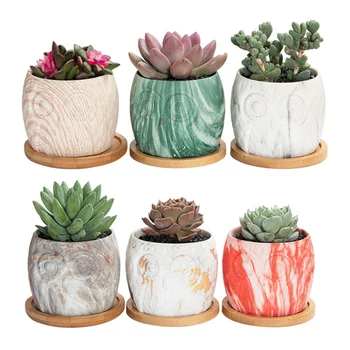 1 Set 12Pcs Owl Pattern Creative Durable Flower Pots Ceramics Planter Fleshiness Pots Plant Pots
1 Set 12Pcs Owl Pattern Creative Durable Flower Pots Ceramics Planter Fleshiness Pots Plant Pots