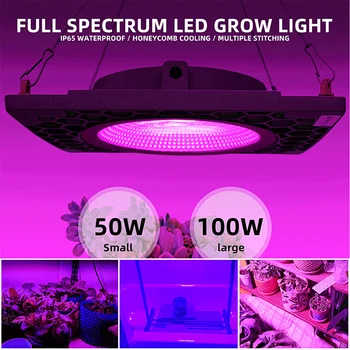 Aluminum led Grow light COB Waterproof Outdoor Phyto lamp For Seedlings Plants Veg flowers Growing garden Full spectrum 500W
Aluminum led Grow light COB Waterproof Outdoor Phyto lamp For Seedlings Plants Veg flowers Growing garden Full spectrum 500W