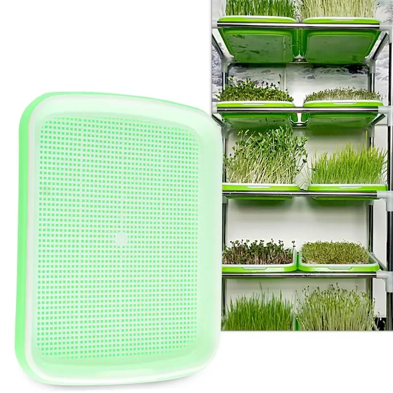 Multifunctional Seed Sprouter Tray Set Soil-Free Food Grade PP Healthy Wheatgrass Grower with Seed Sprouter Tray Water Tray
Multifunctional Seed Sprouter Tray Set Soil-Free Food Grade PP Healthy Wheatgrass Grower with Seed Sprouter Tray Water Tray