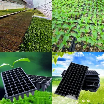 2020 128 Holes 4 Packs Plastic Seedling Starter Trays Plant Nursery planter Cups Starters garden Seedling pots Herb vegs Home
2020 128 Holes 4 Packs Plastic Seedling Starter Trays Plant Nursery planter Cups Starters garden Seedling pots Herb vegs Home