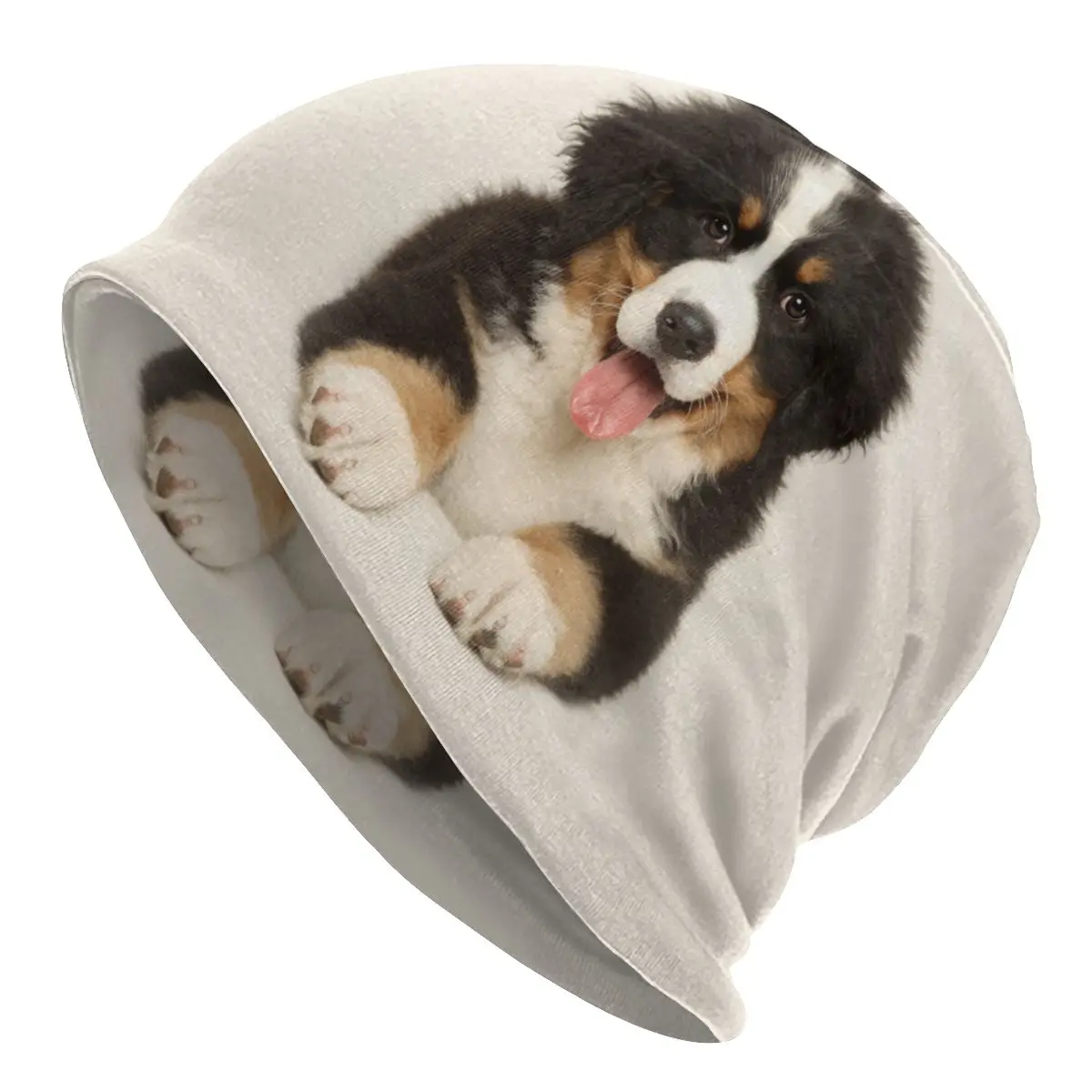 Шапка Boston Mountain Dog осенне-зимняя Лыжная Шапка облегающие шапки мужские женские мужские теплые вязаные шапки
Шапка Boston Mountain Dog осенне-зимняя Лыжная Шапка облегающие шапки мужские женские мужские теплые вязаные шапки