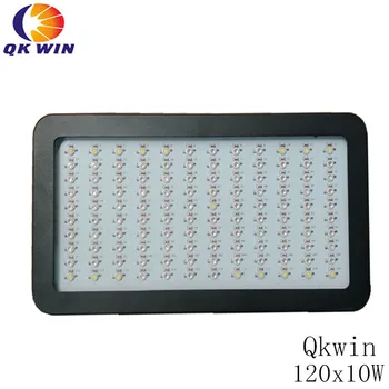 Germany shipping Qkwin 1200W LED Grow Light 120x10W Full Spectrum LED Grow Lights For Indoor Plants Flowering And Growing
Germany shipping Qkwin 1200W LED Grow Light 120x10W Full Spectrum LED Grow Lights For Indoor Plants Flowering And Growing