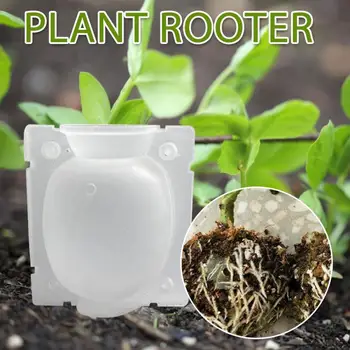 1/5/10/50pcs Plant Rooting Ball Grafting Rooting Growing Box Breeding Case Garden Plant high-pressure propagation box Sapling
1/5/10/50pcs Plant Rooting Ball Grafting Rooting Growing Box Breeding Case Garden Plant high-pressure propagation box Sapling