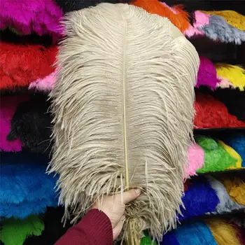 Hot 50 pcs High Quantity Light Brown 24-26inch/60-65cm "thick Stem" Male Ostrich Feathers DIY Jewelry Craft Making Decoration
Hot 50 pcs High Quantity Light Brown 24-26inch/60-65cm "thick Stem" Male Ostrich Feathers DIY Jewelry Craft Making Decoration