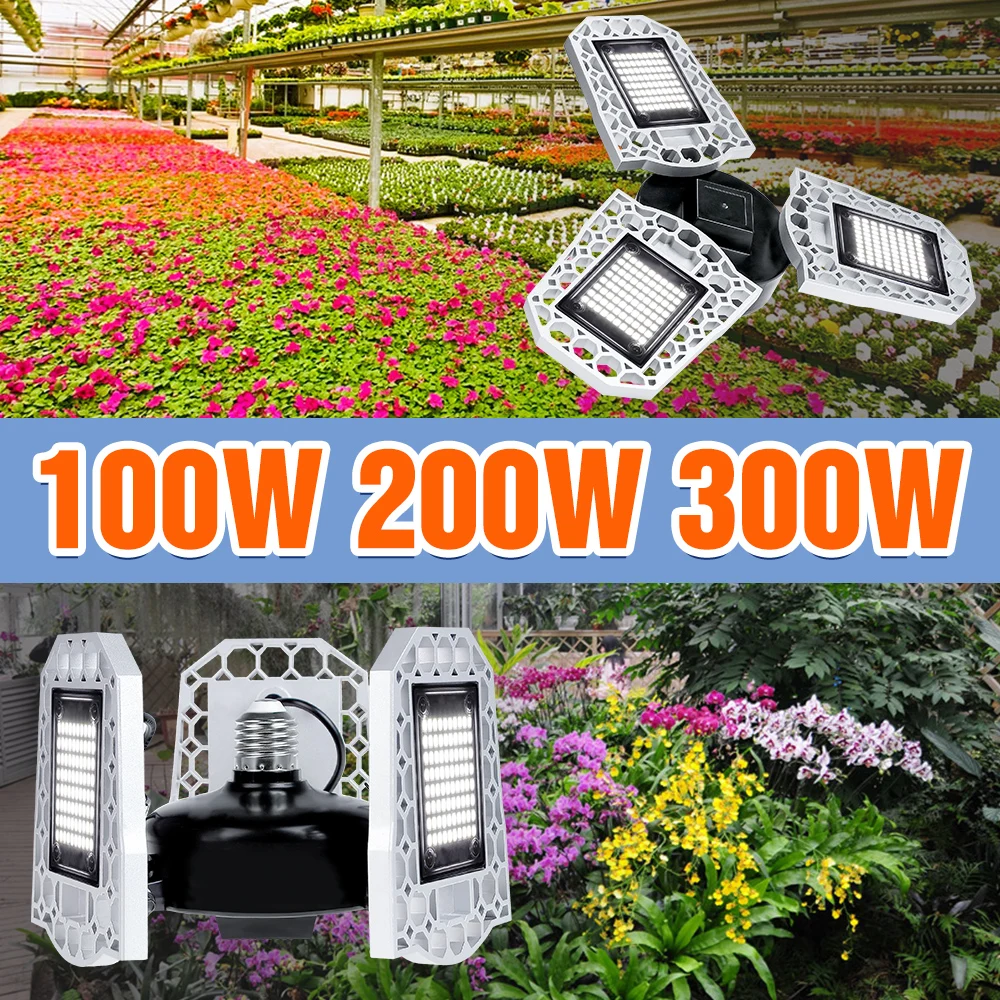 Phytolamp E26 Grow Led Light Led Plant Growing Lamp 220V Seedling Bulb E27 Full Spectrum Grow Tent Indoor Light 100W 200W 300W
Phytolamp E26 Grow Led Light Led Plant Growing Lamp 220V Seedling Bulb E27 Full Spectrum Grow Tent Indoor Light 100W 200W 300W