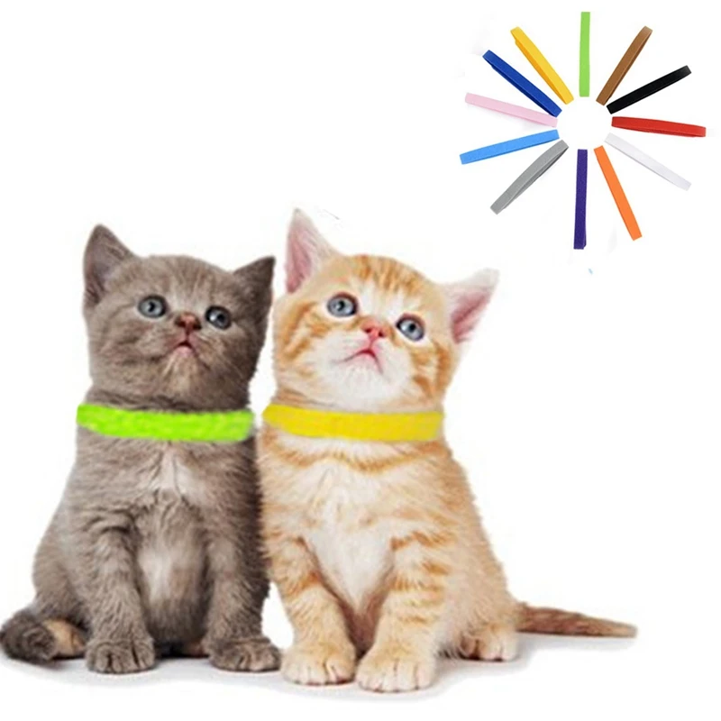 12PCS/SET Identification ID Collars Whelp Kitten Dog Cat Velvet Practical Nylon Reusable Puppy ID Collar Pet Supplies
12PCS/SET Identification ID Collars Whelp Kitten Dog Cat Velvet Practical Nylon Reusable Puppy ID Collar Pet Supplies