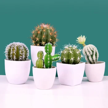 Simulation Cactus Succulent Plant Flowering Cactus Flowerpot Fake Meat Flower Office Decorations Living Room Decoration
Simulation Cactus Succulent Plant Flowering Cactus Flowerpot Fake Meat Flower Office Decorations Living Room Decoration