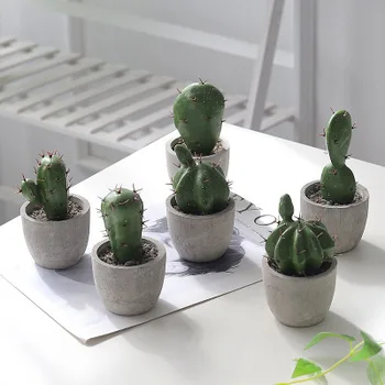 Northern European-Style INS Cactus Potted Plant Green Vegetation Living Room Home Decoration Monstera Cactus Artificial Flower A
Northern European-Style INS Cactus Potted Plant Green Vegetation Living Room Home Decoration Monstera Cactus Artificial Flower A