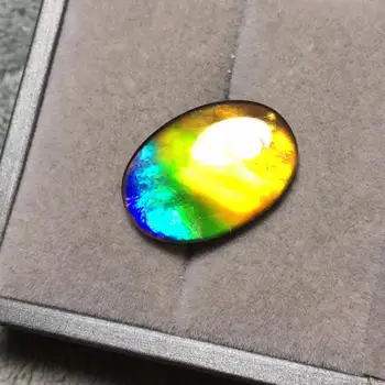 B225 Canada Origin Nature Ammonite Ammolite Loose Beads Loose Gemstones for Jewelry Making
B225 Canada Origin Nature Ammonite Ammolite Loose Beads Loose Gemstones for Jewelry Making