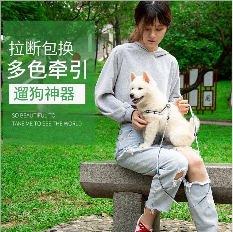 Pet Dog Traction Chest And Back Transfer Chest And Back Set Comfortable Strong Solid Durable Chest And Back Set
Pet Dog Traction Chest And Back Transfer Chest And Back Set Comfortable Strong Solid Durable Chest And Back Set