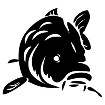 Fashion Fish Fishing Animal Decoration Car Sticker Automobiles Motorcycles Exterior Accessories Vinyl Decals for Bmw Audi Ford
Fashion Fish Fishing Animal Decoration Car Sticker Automobiles Motorcycles Exterior Accessories Vinyl Decals for Bmw Audi Ford