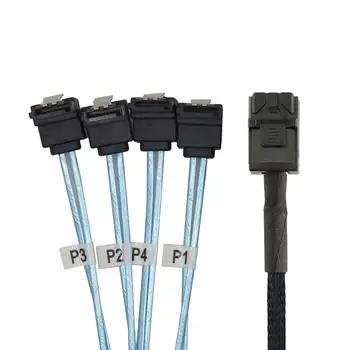 Chenyang Internal Mini SAS SFF-8643 Host to Angled 4 SATA Target Hard Disk 6Gbps Data Server Raid Cable 1m
Chenyang Internal Mini SAS SFF-8643 Host to Angled 4 SATA Target Hard Disk 6Gbps Data Server Raid Cable 1m