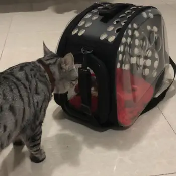 SOLEDI EVA Breathable Pet Travel Bag Backpacks Bags Cats Portable Transparent Pet Cat Dog Carrier Bag Outside
SOLEDI EVA Breathable Pet Travel Bag Backpacks Bags Cats Portable Transparent Pet Cat Dog Carrier Bag Outside