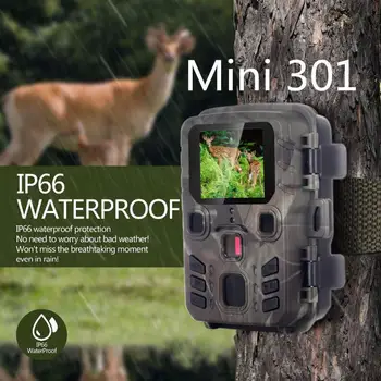 Mini 301 Hunting Trail Camera 12MP/1080P Full HD Infrared night sight Wildlife Scouting outdoor Surveillance Tracking Cam
Mini 301 Hunting Trail Camera 12MP/1080P Full HD Infrared night sight Wildlife Scouting outdoor Surveillance Tracking Cam