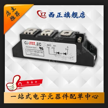 CTD116GK12 
CTD116GK12