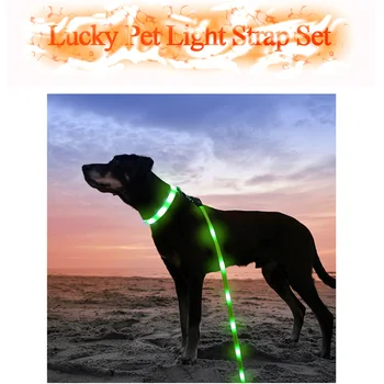 Adjustable Pet Durable Light Traction Rope USB Charging Collar Can Be Recycled Using LED Lights Walk Dog Collar Traction Rope
Adjustable Pet Durable Light Traction Rope USB Charging Collar Can Be Recycled Using LED Lights Walk Dog Collar Traction Rope