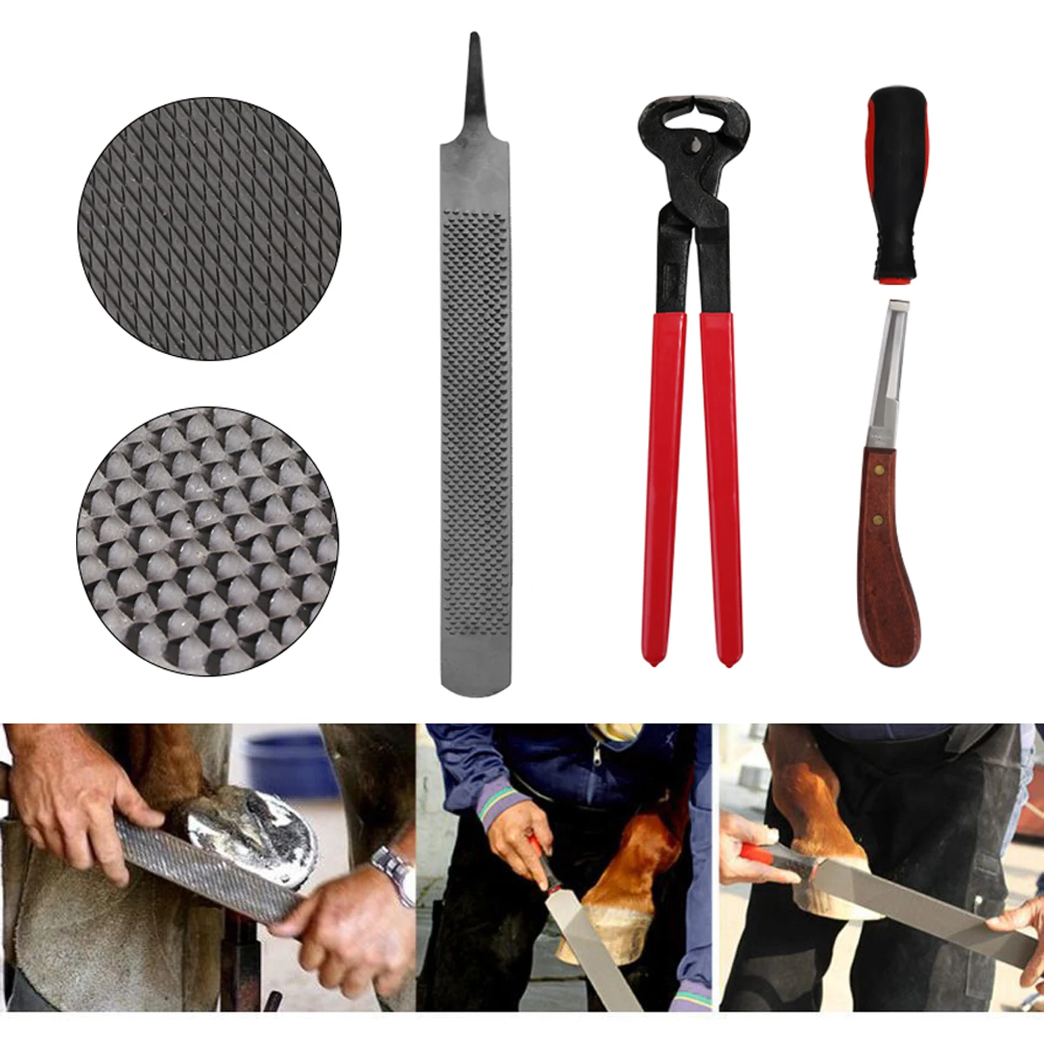 7PCS Handle Hoof Cutter Tool Horse Farrier Hoof Nipper Trim Shoeing File Rasp Horse Manicure Care Set
7PCS Handle Hoof Cutter Tool Horse Farrier Hoof Nipper Trim Shoeing File Rasp Horse Manicure Care Set