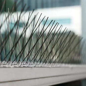 Bird Repellent Spikes Eco-Friendly Anti Pigeon Nail Bird Deterrent Tool For Pigeons Owl Small Birds Fence 25 X 11cm Bird Spikes
Bird Repellent Spikes Eco-Friendly Anti Pigeon Nail Bird Deterrent Tool For Pigeons Owl Small Birds Fence 25 X 11cm Bird Spikes
