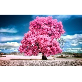 Pink trees under sky DIY Paint By Numbers For Adults Children HandPainted Oil Painting Landscape Home Decoration Custom Gift
Pink trees under sky DIY Paint By Numbers For Adults Children HandPainted Oil Painting Landscape Home Decoration Custom Gift