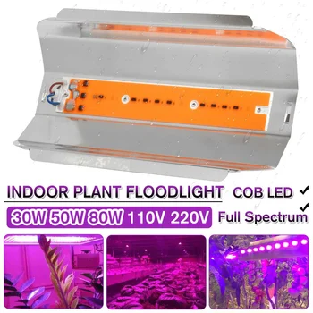 30/50W IP65 Plant growth lamp LED Grow Light Phyto Simple floodlight 110/220V For Plant Greenhouse Hydroponic
30/50W IP65 Plant growth lamp LED Grow Light Phyto Simple floodlight 110/220V For Plant Greenhouse Hydroponic