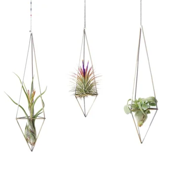Hanging Tillandsia Air Plants Rack Metal Geometric Iron Art Rustic Flower Planter Pot Plants Rack For Home Garden 
Hanging Tillandsia Air Plants Rack Metal Geometric Iron Art Rustic Flower Planter Pot Plants Rack For Home Garden