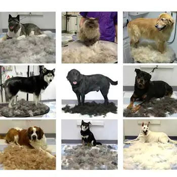 Professional Pet Undercoat Rake Dematting Comb Grooming Stripping Tool for Dog Cat Puppy JAN88
Professional Pet Undercoat Rake Dematting Comb Grooming Stripping Tool for Dog Cat Puppy JAN88