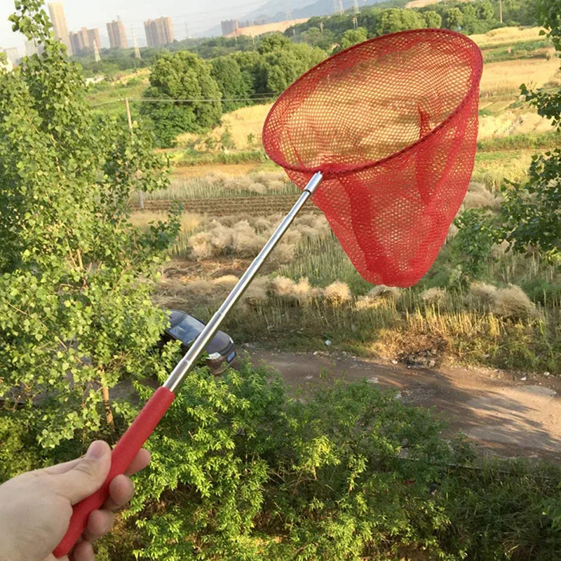 Extendable Kids Catcher Net Butterfly Fish Insect Catcher Net Telescopic Catching Bugs Mesh Net with Anti Slip Grip Fishing
Extendable Kids Catcher Net Butterfly Fish Insect Catcher Net Telescopic Catching Bugs Mesh Net with Anti Slip Grip Fishing