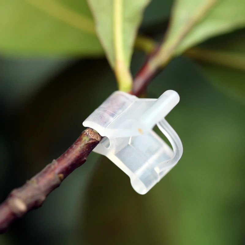 20pcs/Pack Plastic Plant Support Mini Grafting Clips Plants Seeding Grafting Clip Tool for Garden Vegetable Flower Vine Bushes
20pcs/Pack Plastic Plant Support Mini Grafting Clips Plants Seeding Grafting Clip Tool for Garden Vegetable Flower Vine Bushes