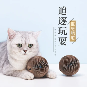Accessories Pet Supplies Cats Toy Supplies Pet Products Ball Toy Toys For Cats Accessories Speelgoed Kat Kitten Toys JJ60MWJ 
Accessories Pet Supplies Cats Toy Supplies Pet Products Ball Toy Toys For Cats Accessories Speelgoed Kat Kitten Toys JJ60MWJ