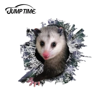 Jump Time 13cm x 12.2cm 3D opossum window sticker Glass Slag Decal Reflective Stickers Waterproof Bird Decals
Jump Time 13cm x 12.2cm 3D opossum window sticker Glass Slag Decal Reflective Stickers Waterproof Bird Decals