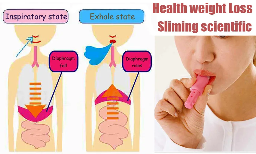 Useful Abdominal Breathing Trainer Exerciser Thin Weight Loss Slimming Waist & Face Hygiene Kits wholesale Drop shipping
Useful Abdominal Breathing Trainer Exerciser Thin Weight Loss Slimming Waist & Face Hygiene Kits wholesale Drop shipping