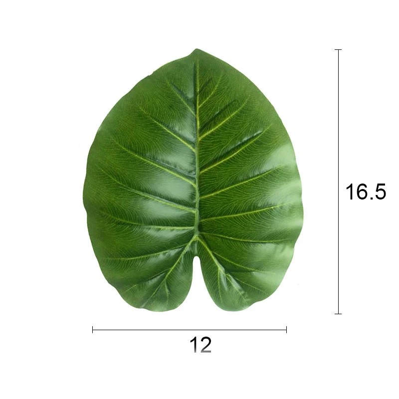 11135367529_1493019570