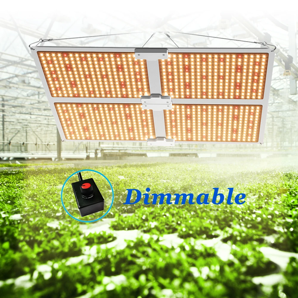 1000W 2000W 4000W Samsung LM301H Chips Indoor led Full spectrum Grow light Dimmable quantum tech board lamp for Plants growth 
1000W 2000W 4000W Samsung LM301H Chips Indoor led Full spectrum Grow light Dimmable quantum tech board lamp for Plants growth