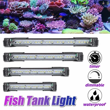 Aquarium Light LED Waterproof Fish Tank Light Underwater Lamp Aquariums Decor Lighting Plant Lamp 20-50CM 100-240V EU /USPower
Aquarium Light LED Waterproof Fish Tank Light Underwater Lamp Aquariums Decor Lighting Plant Lamp 20-50CM 100-240V EU /USPower