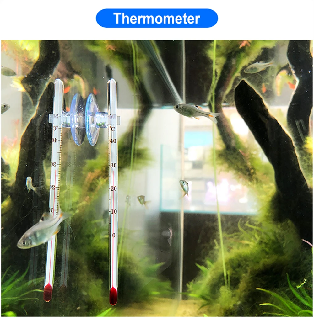 10Pcs Aquarium Sucker For 4mm Airline Tube Two Styles Fish Tank Oxygen Pump Pipe Suction Cups Air Line Hose Holders 10Pcs Aquarium Sucker For 4mm Airline Tube Two Styles Fish Tank Oxygen Pump Pipe Suction Cups Air Line Hose Holders