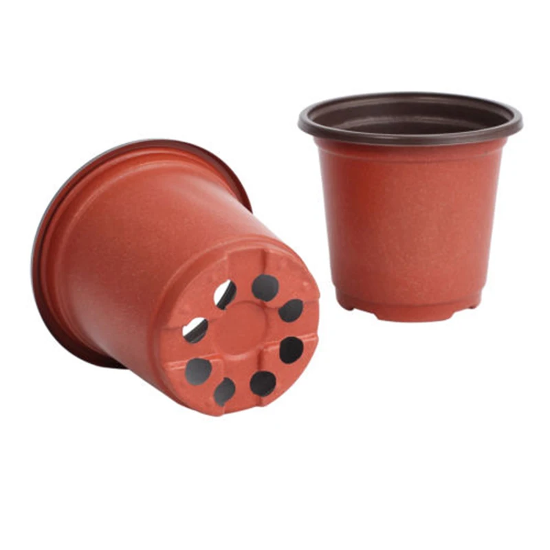 100* Flower Pot Flower Seedling Plant Soil Starter Planten Pot Gardening Pots Plant Seedlings For Sale Small Plant Pots
100* Flower Pot Flower Seedling Plant Soil Starter Planten Pot Gardening Pots Plant Seedlings For Sale Small Plant Pots