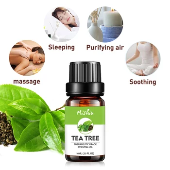 

Mishiu Tea Tree Essential Oil Bergamot Lemongrass Patchouli Ginger Eucalyptus Jasmine Ylang Ylang Aromatherapy Massage Oil 10ML