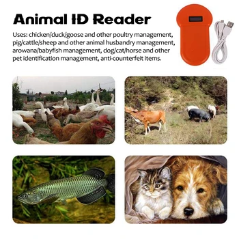 LF 134.2KHz Pocket Reader Handheld Animal Chip Reader Scanner for dog cat accessories Pet Dog Cat ID Reader Animal ID Reader
LF 134.2KHz Pocket Reader Handheld Animal Chip Reader Scanner for dog cat accessories Pet Dog Cat ID Reader Animal ID Reader