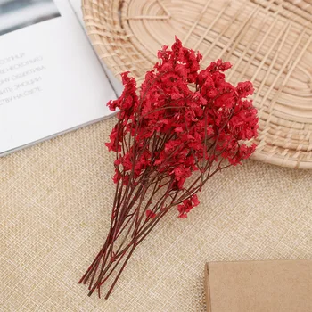 1Bag Real Pressed Dried Flowers Floral Plants Colorful Crystal Grass For DIY Scrapbooking Card Making Art Craft Decoration Gifts
1Bag Real Pressed Dried Flowers Floral Plants Colorful Crystal Grass For DIY Scrapbooking Card Making Art Craft Decoration Gifts