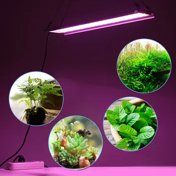Full Spectrum LED Plant Grow Light Lamps Plant Grow Light Panel Fill Light Lamp For Flower Plant Veg Grow/Bloom EU/AU/US/UK NEW 
Full Spectrum LED Plant Grow Light Lamps Plant Grow Light Panel Fill Light Lamp For Flower Plant Veg Grow/Bloom EU/AU/US/UK NEW