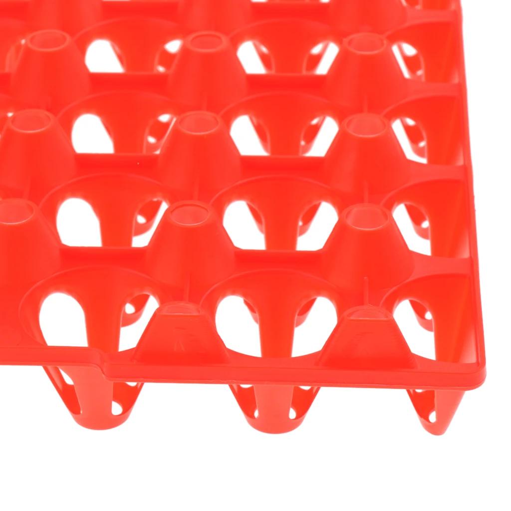 5Pcs 30-Chicken Eggs Tray For Duck Quail Bird Poultry Egg Container Holder 5Pcs 30-Chicken Eggs Tray For Duck Quail Bird Poultry Egg Container Holder