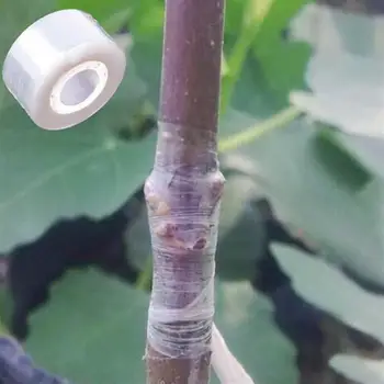 10pcs Garden tree Nursery Seedle floristry Pruner Plant repair Tool tape graft barrier Parafilm Pruning budding fruit Strecth
10pcs Garden tree Nursery Seedle floristry Pruner Plant repair Tool tape graft barrier Parafilm Pruning budding fruit Strecth