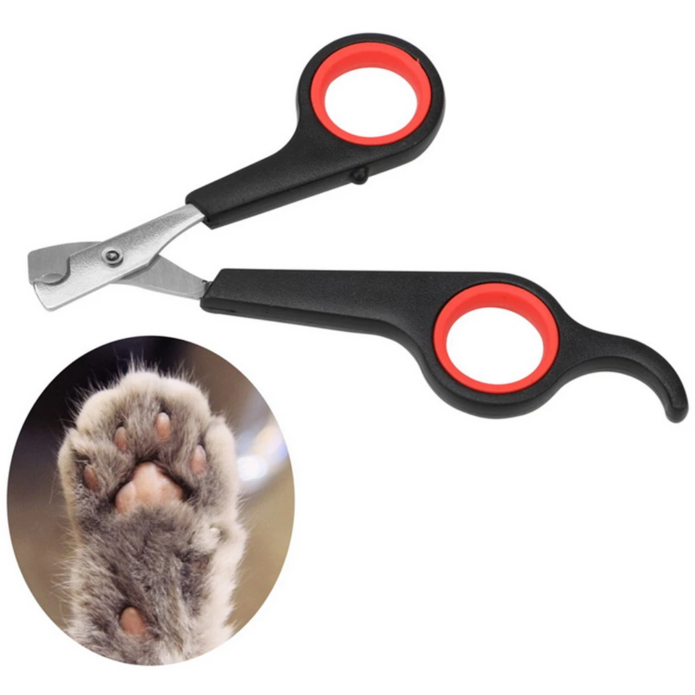 2020 Pet Nail Clipper Dog Cats Toe Claw Stainless Steel Grooming Nail Clippers Scissors Dog Nail Trimmer Cut Dog Nail Clippers
2020 Pet Nail Clipper Dog Cats Toe Claw Stainless Steel Grooming Nail Clippers Scissors Dog Nail Trimmer Cut Dog Nail Clippers