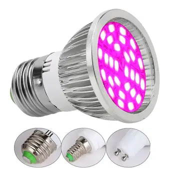 28W E27 Full Spectrum Grow Light LED Bulb Hydroponic Grow Lamp Bulb for Plant
28W E27 Full Spectrum Grow Light LED Bulb Hydroponic Grow Lamp Bulb for Plant